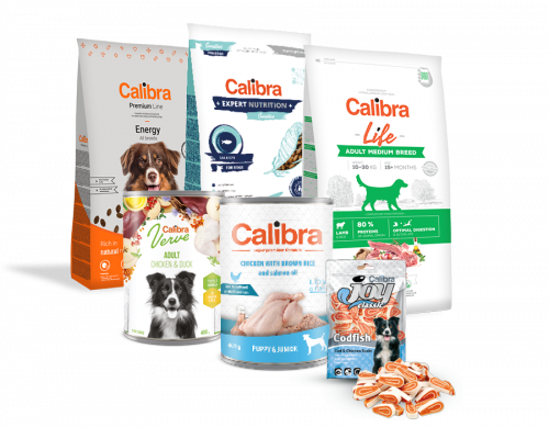 Adult Large Breed Recipe: alimento para perros sin cereales